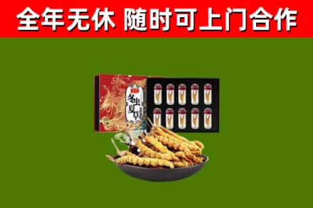 吐鲁番烟酒回收冬虫夏草礼盒.jpg